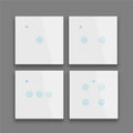 Touch Panel Wall Wifi Smart Home Lighting Timing Switch Voice Control 1 Button Black/Golden/White With APP Alexa Use