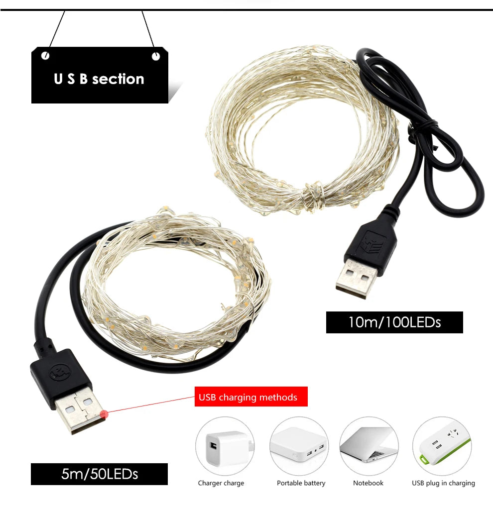 1m 10 LED 2AA Battery Operated Christmas Copper Wire String Fairy Lights