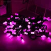 Factory Outlets 12V/24V/31V Safety Low Power Christmas Outdoor fairy Lights 100m