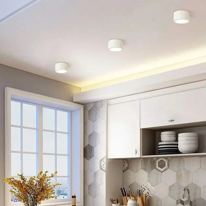 Dimmable LED downlight indoor lighting 5W 7W 9W 12W 15W 18W 20W Surface mounted downlight LED ceiling light spotlight AC110V220V