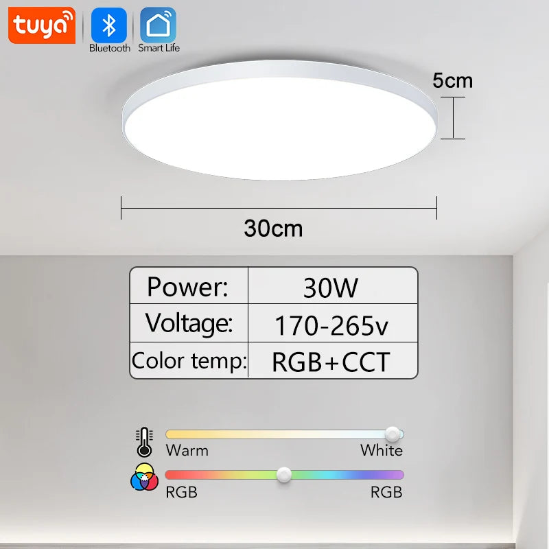 30W 36W Smart LED Ceiling Light RGB Dimming APP TUYA Remote Control Timing Indoor Home Decor Bluetooth WIFI Bedroom Living Room