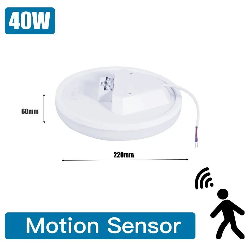 Motion Sensor Ceiling Light Radar Sensor LED Light Smart Lamp 220V/110V For Corridor Entrance Human Motion Ceiling Lamp Panel