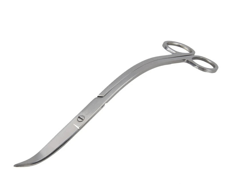 Aquarium Scissor Tools Fish Tank Tweezer Plants Wave Scissors Grass Stainless Cleaning Tools Storage Holder Aquarium Accessories