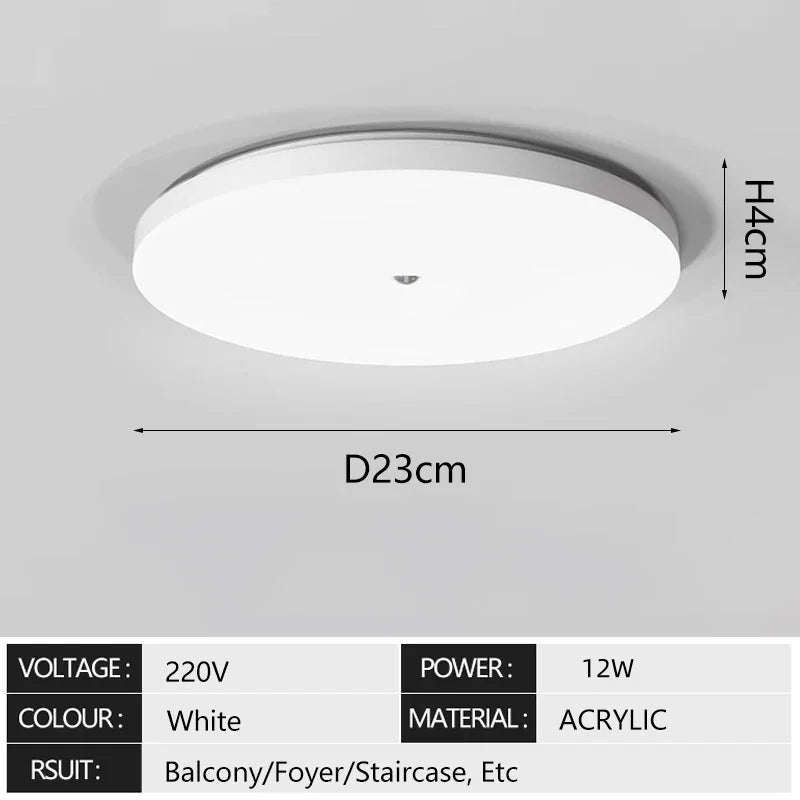 Induction Light LED Ceiling Light Human Infrared Induction Home Garage Attic Door Front Corridor Staircase Warehouse Light