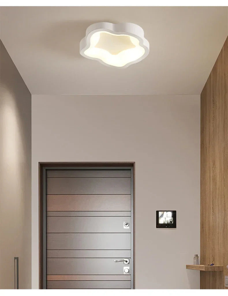 Minimalist LED Ceiling Light Cloakroom Indoor Lighting For Entrance hallway balcony Creative Acrylic ceiling lamp