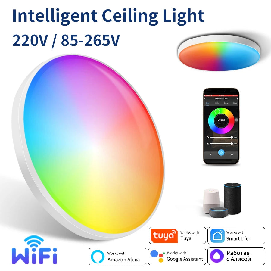 85-265V 220V Smart WiFi BLE LED Ceiling Light 24W Round Ceiling Lamp Room Indoor Lighting Tuya Smart Life App Alexa Geogle Home
