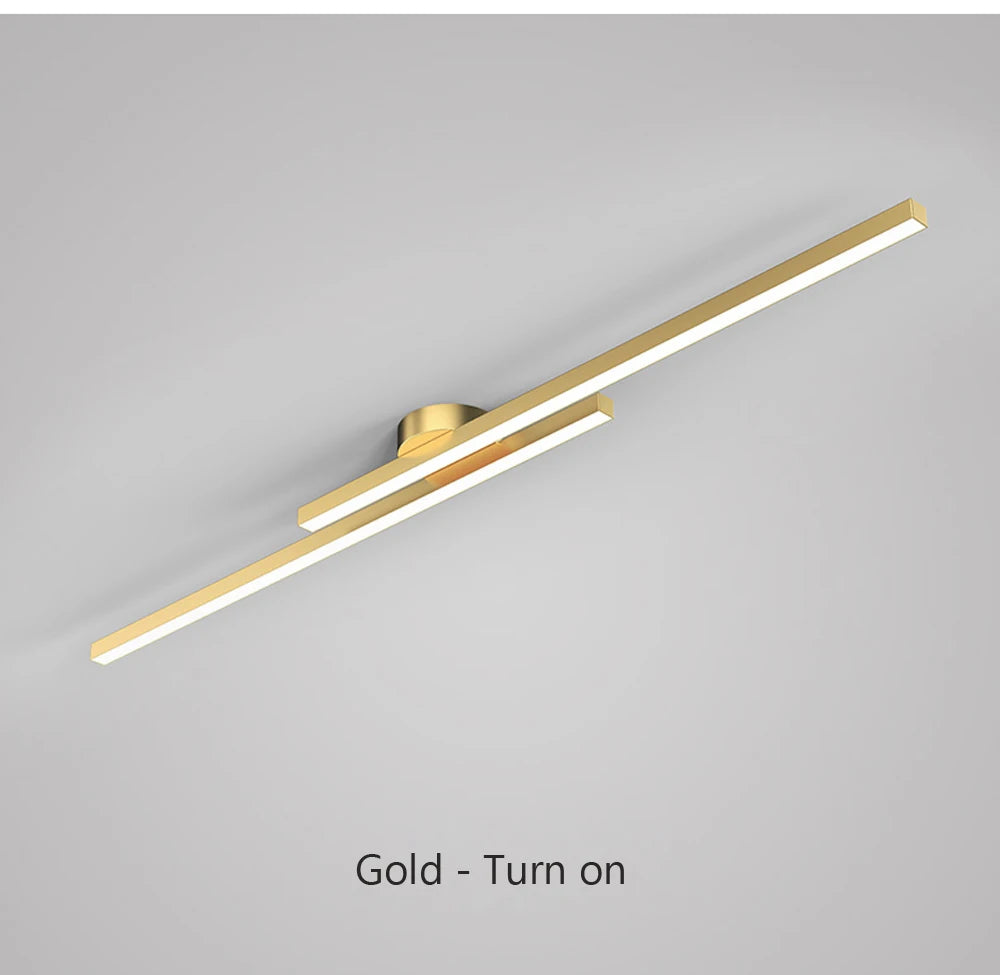 Smart LED Ceiling Light Remote Control 60/80CM Lights Bedroom Living Room Hallway Kitchen Balcony Home Lamp Led Lighting Lustre