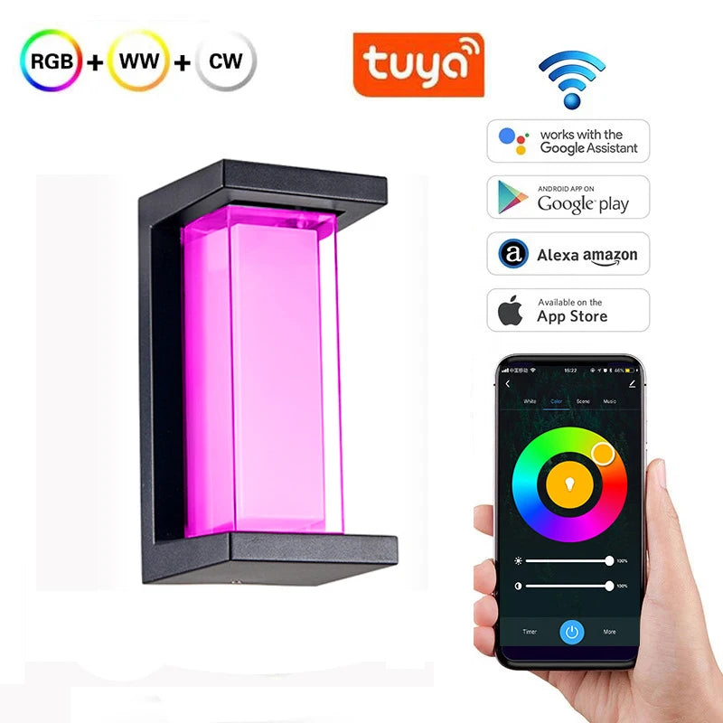 Smart WiFi LED Wall Lamp Indoor outdoor with Alexa Remote Control  RGBCW Wall Light for House Porch Front Door
