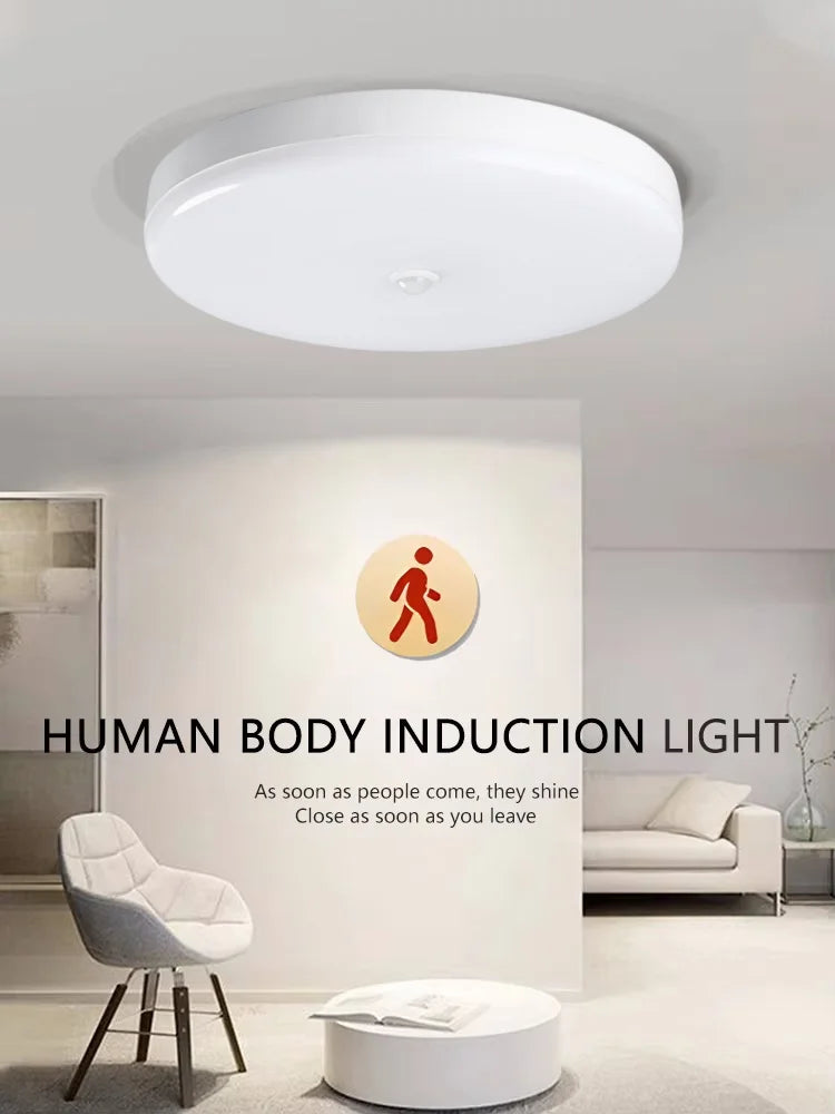 Induction Light LED Ceiling Light Human Infrared Induction Home Garage Attic Door Front Corridor Staircase Warehouse Light