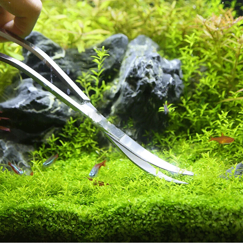 Aquarium Scissor Tools Fish Tank Tweezer Plants Wave Scissors Grass Stainless Cleaning Tools Storage Holder Aquarium Accessories