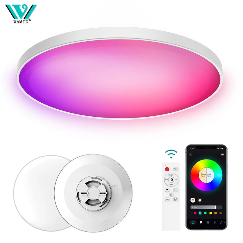 Smart Led Ceiling Light 24W Round Chandelier 30W Audio Music Play APP Bluetooth WIFI Ultra Thin Ceiling Lamp Indoor Lighting
