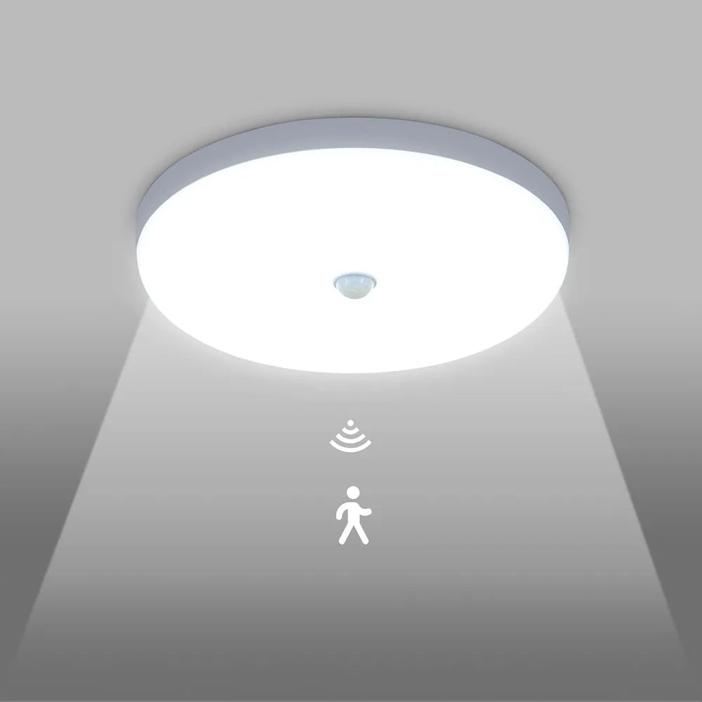 Smart Home Light PIR Motion Sensor lighting 30W 20W AC 230V 220V 240V LED Ceiling bulb Ceiling Lamp For Room Hallways Corridor