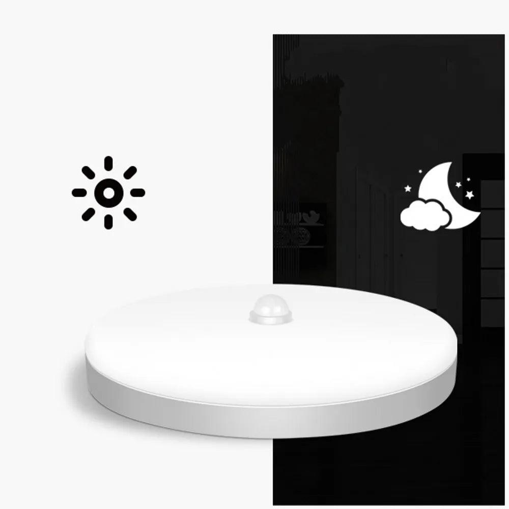 Smart Home Light PIR Motion Sensor lighting 30W 20W AC 230V 220V 240V LED Ceiling bulb Ceiling Lamp For Room Hallways Corridor