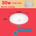 Motion Sensor Ceiling Light Modern Smart Sensor LED Lamp Human Infrared Sensing Lamp Indoor for Garage Corridor Lighting Fixture