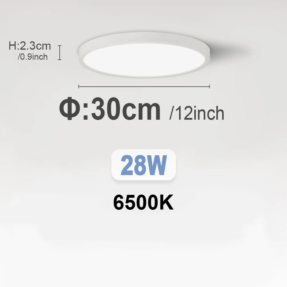 Smart Led Ceiling Light with Remote Control 3 Colors Dimmable Ceiling Lights Ultrathin Panel Lamps Bedroom Kitchen Ceiling Lamp