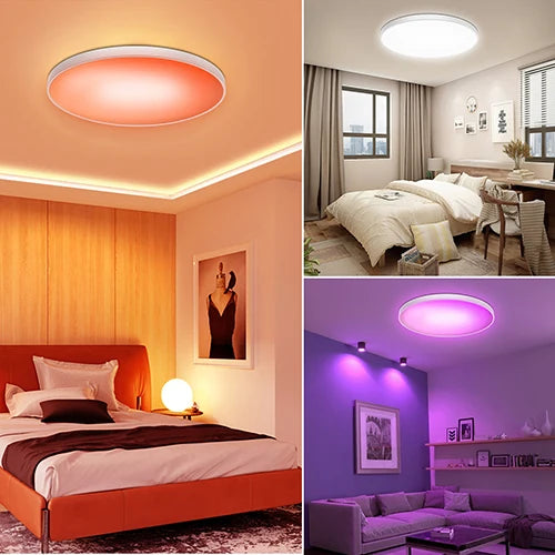 Smart Led Ceiling Light 24W Round Chandelier 30W Audio Music Play APP Bluetooth WIFI Ultra Thin Ceiling Lamp Indoor Lighting