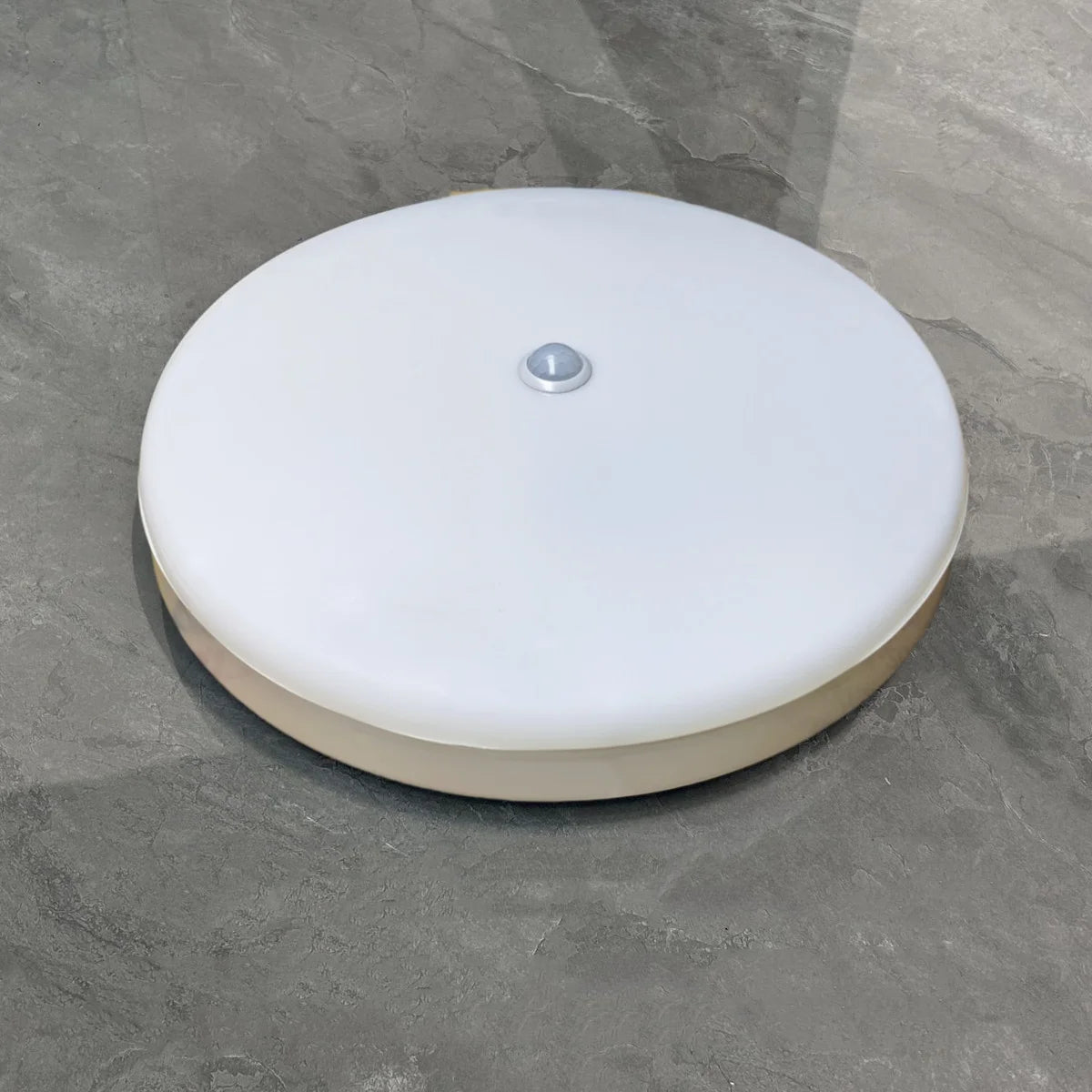 LED Ceiling Light with Human Infrared Induction for Home Garage Attic Door Front Corridor Staircase Warehouse Sensor Lighting
