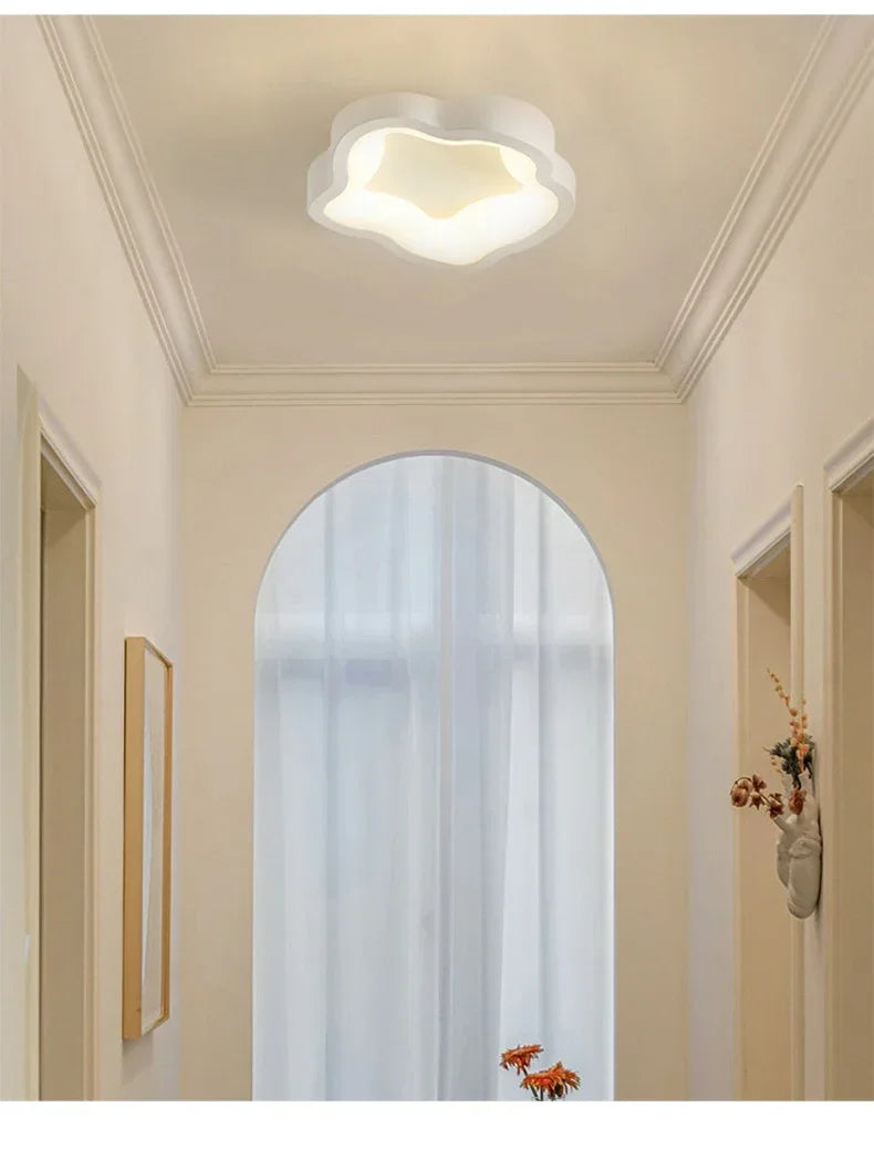 Minimalist LED Ceiling Light Cloakroom Indoor Lighting For Entrance hallway balcony Creative Acrylic ceiling lamp