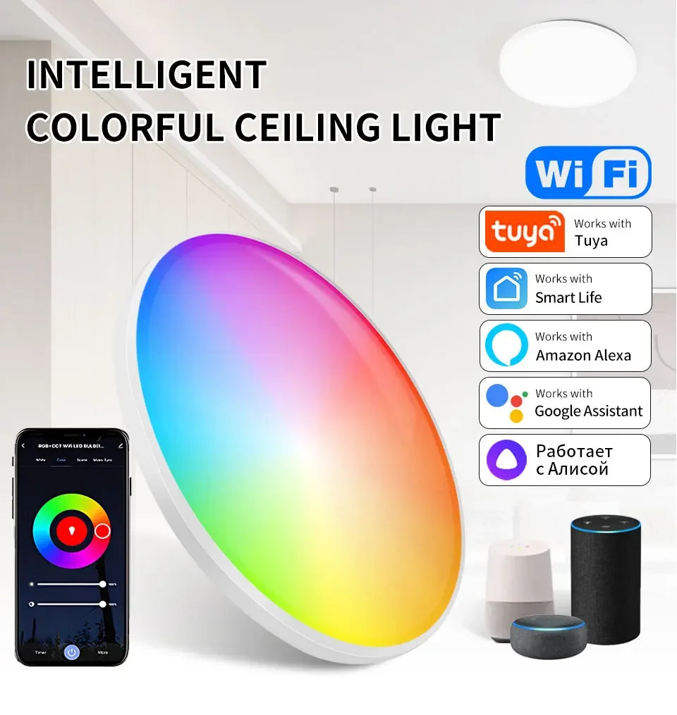 85-265V 220V Smart WiFi BLE LED Ceiling Light 24W Round Ceiling Lamp Room Indoor Lighting Tuya Smart Life App Alexa Geogle Home