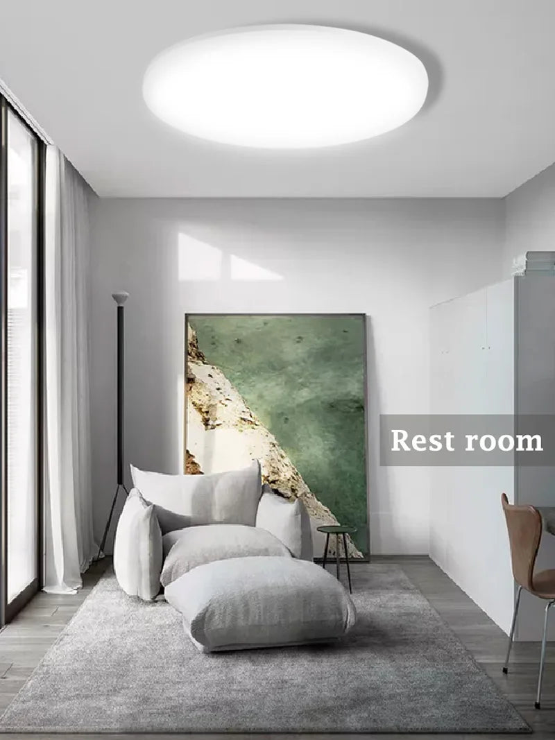 Modern Ceiling Lamp 220V Dustproof Led  Ultra-thin Ceiling Chandelier for Indoor Living Room Bedroom Decorative Ceiling Light