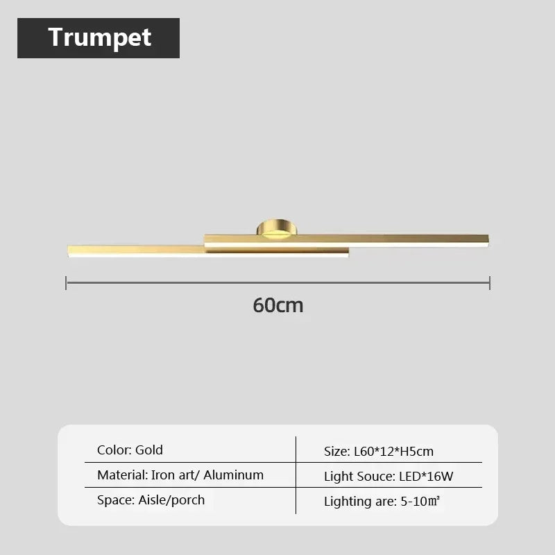 Smart LED Ceiling Light Remote Control 60/80CM Lights Bedroom Living Room Hallway Kitchen Balcony Home Lamp Led Lighting Lustre