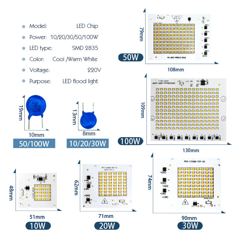 Led Lamp 10W 20W 30W 50W 100W Smart IC Floodlight COB Chip SMD 2835 Outdoor Long Service Time DIY Lighting In AC 220V 230V 240V