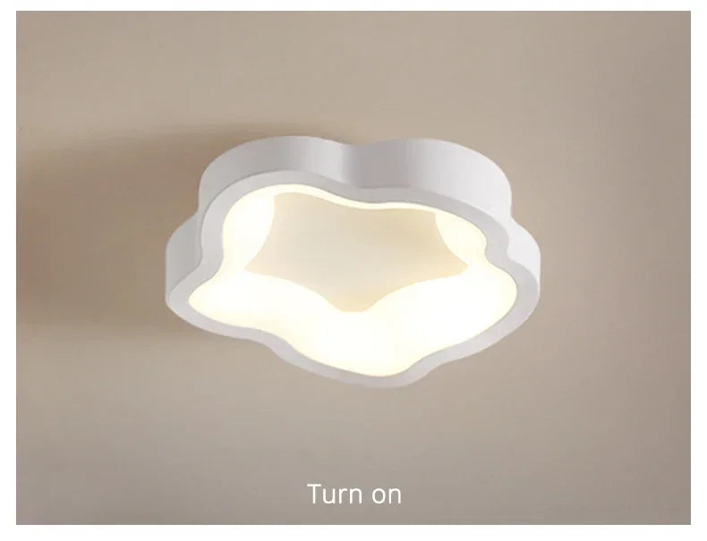 Minimalist LED Ceiling Light Cloakroom Indoor Lighting For Entrance hallway balcony Creative Acrylic ceiling lamp