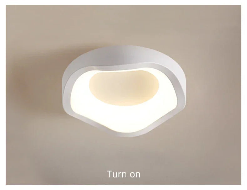 Minimalist LED Ceiling Light Cloakroom Indoor Lighting For Entrance hallway balcony Creative Acrylic ceiling lamp
