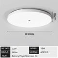 Induction Light LED Ceiling Light Human Infrared Induction Home Garage Attic Door Front Corridor Staircase Warehouse Light