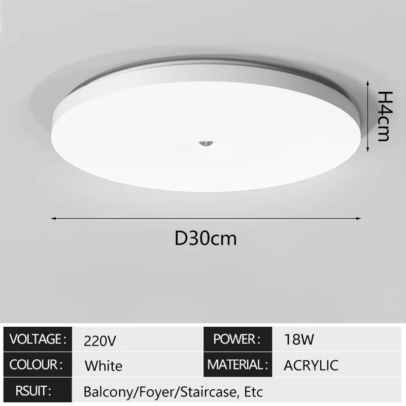 Induction Light LED Ceiling Light Human Infrared Induction Home Garage Attic Door Front Corridor Staircase Warehouse Light