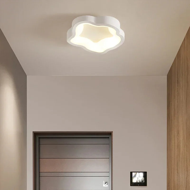 Minimalist LED Ceiling Light Cloakroom Indoor Lighting For Entrance hallway balcony Creative Acrylic ceiling lamp