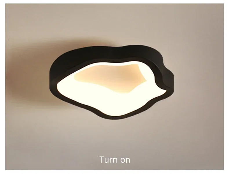 Minimalist LED Ceiling Light Cloakroom Indoor Lighting For Entrance hallway balcony Creative Acrylic ceiling lamp
