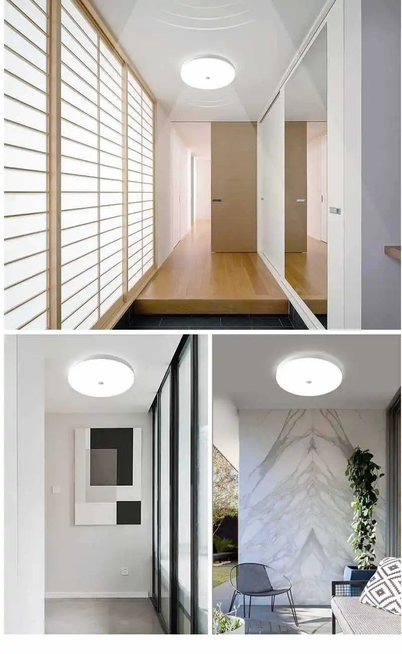 Induction Light LED Ceiling Light Human Infrared Induction Home Garage Attic Door Front Corridor Staircase Warehouse Light