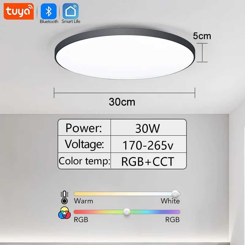 30W 36W Smart LED Ceiling Light RGB Dimming APP TUYA Remote Control Timing Indoor Home Decor Bluetooth WIFI Bedroom Living Room
