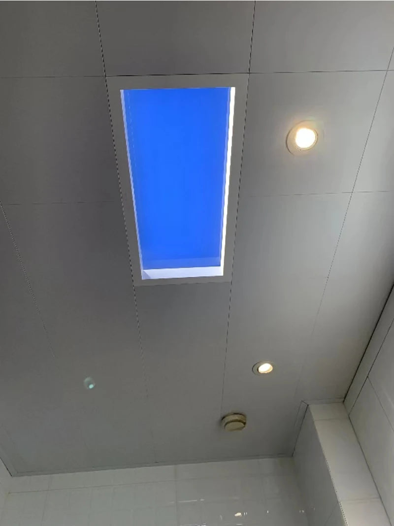 Skylight Smart Control Ceiling Lamp Embeded LED Ceiling Lights for Office Dimmable Kitchen Island Lighting Bathroom Sky Light