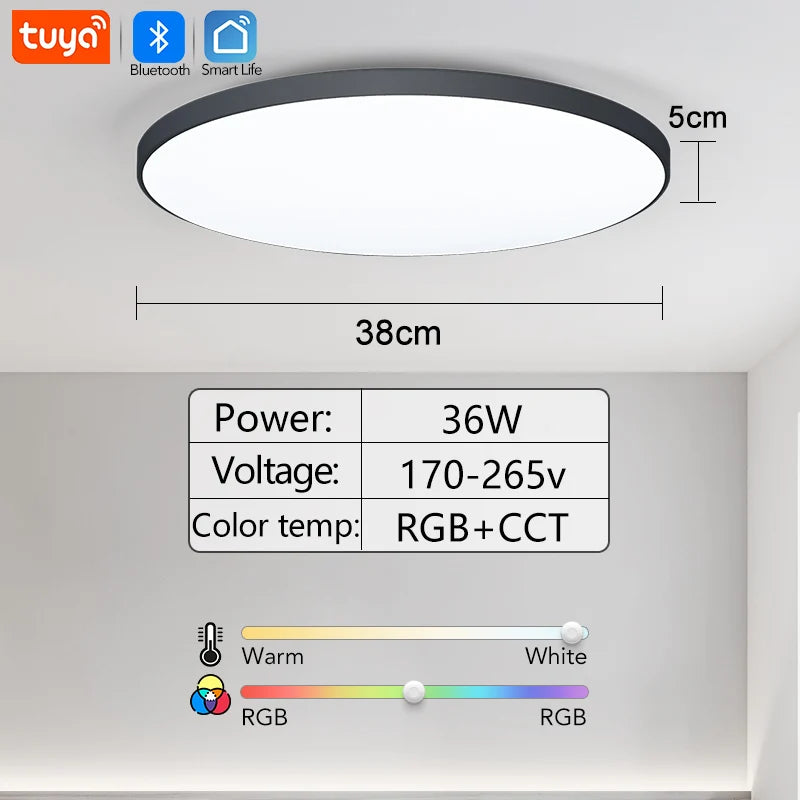 30W 36W Smart LED Ceiling Light RGB Dimming APP TUYA Remote Control Timing Indoor Home Decor Bluetooth WIFI Bedroom Living Room