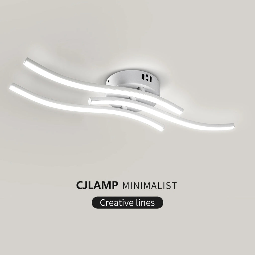 LED Ceiling Ceiling Ceiling Light, Dimming Light, Living Room, Bedroom, Dining Room, Corridor, Indoor Home Decoration Lighting